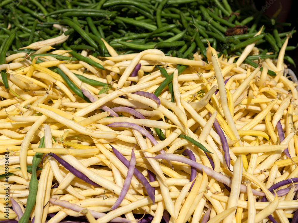 Group of fresh organic string beans for sale in farmer market