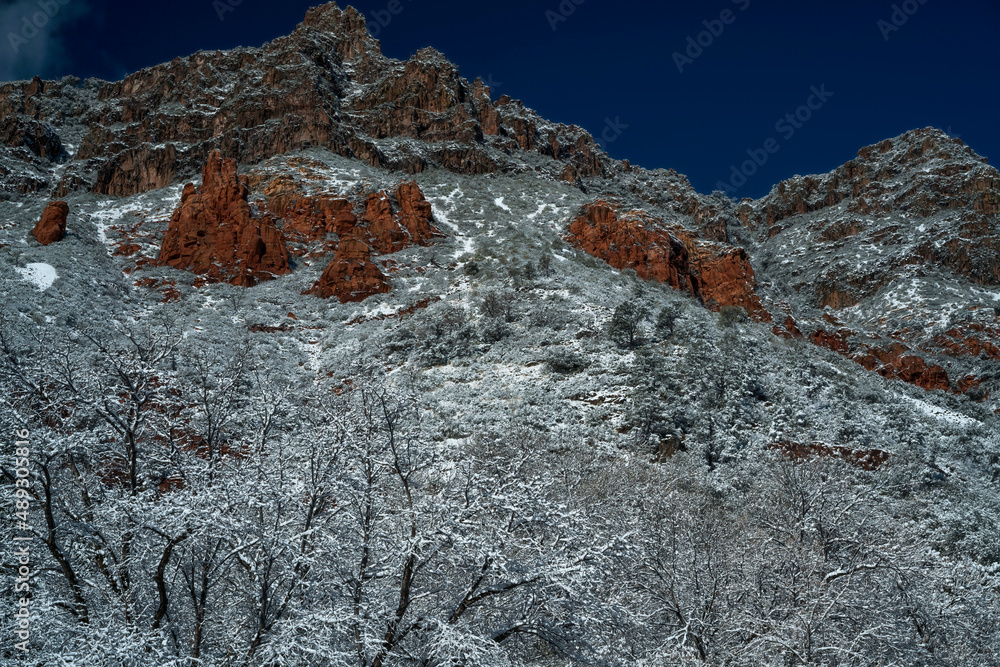 Snowbound Sedona Arizona USA