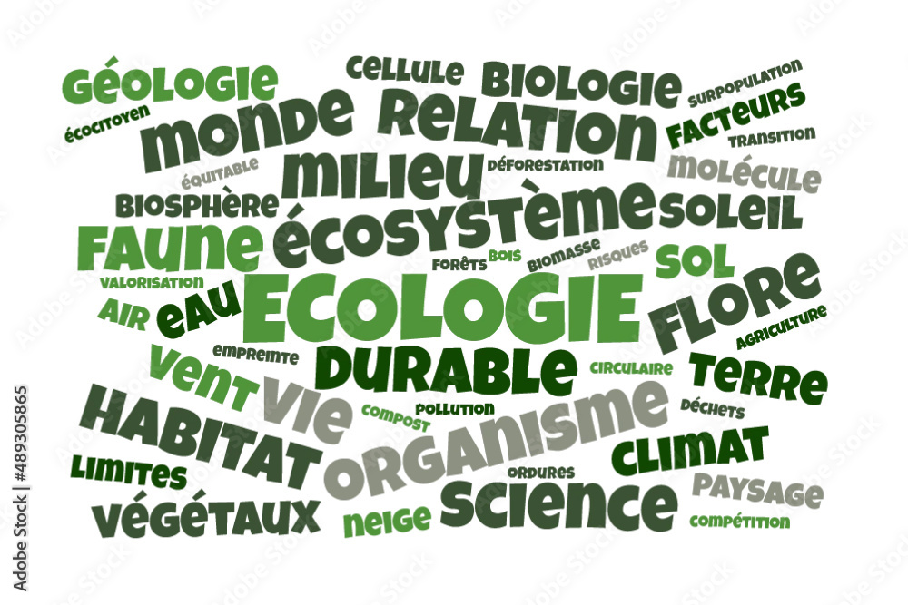 Illustration Ecologie en nuage de mots avec un fond transparent Illustration Ecologie en nuage de mots avec un fond transparent
