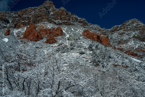 Obraz na płótnie Snowbound Sedona Arizona USA w salonie