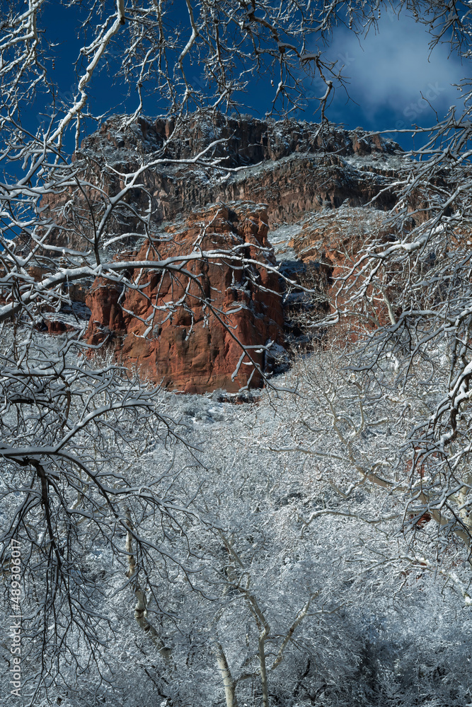 Snowbound Sedona Arizona USA