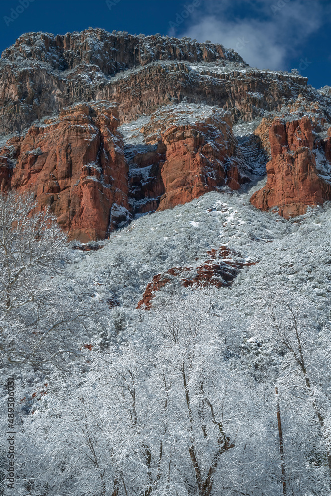 Snowbound Sedona Arizona USA