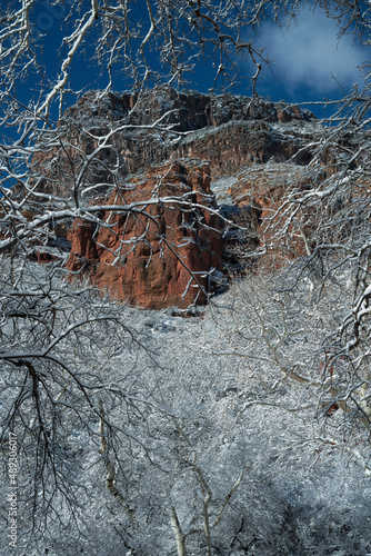 Obraz na płótnie Snowbound Sedona Arizona USA w salonie