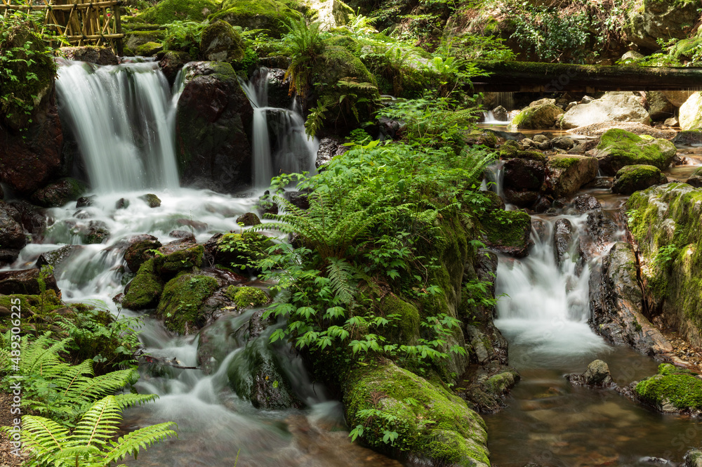 Naklejka premium 福井県瓜割りの滝