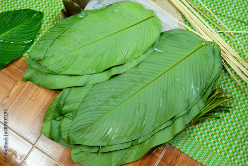 Dong leaves or Stachyphrynium placentarium- used for wrap food especially for banh chung- a traditional food in Tet holiday in Vietnam photo