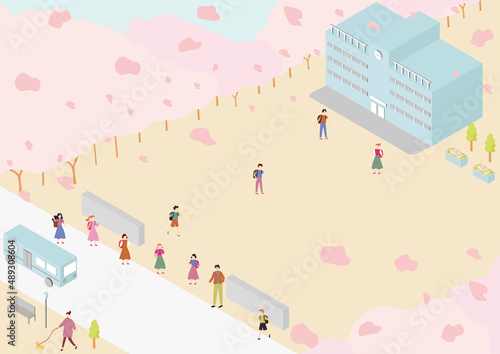 学校と桜　入学式