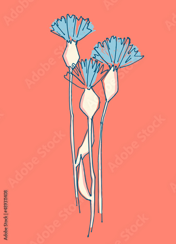 Illustration with abstract cornflowers in line art style for greeting card and design