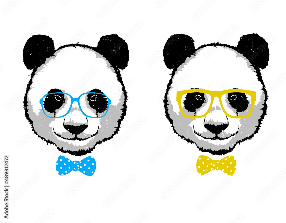 Two hipster panda bear in the glasses