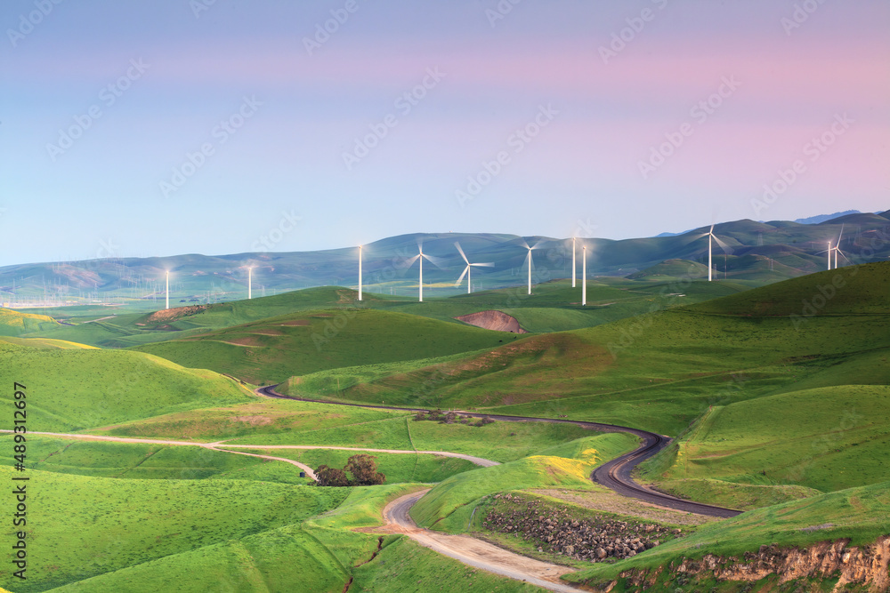 Windmills on Green Hills, California