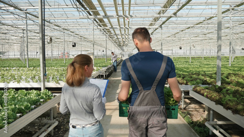 Rancher man talking with agronomist woman working in hydroponics greenhouse plantation harvesting organic green vegetables. Agronomist businesswoman writing cultivated production. Agricultural concept