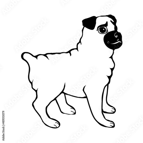 A pug dog isolated on a white background.Vector illustration in doodle style.
