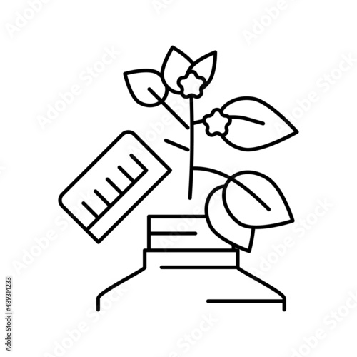 growing homeopathy plant line icon vector illustration