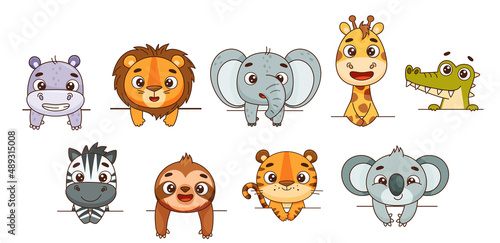 Set kids tropical animals look out from above. Hippo, lion, elephant, giraffe, crocodile, zebra, sloth, tiger, koala. Vector illustration for designs, prints, patterns. Isolated on white background © EnyaLis
