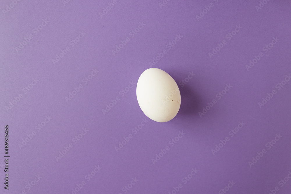 Single natural farm chicken egg isolated on very peri background. Easter holiday concept. Single natural farm chicken egg isolated on very peri background. Easter holiday concept.