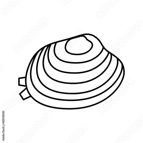 manila clam line icon vector illustration