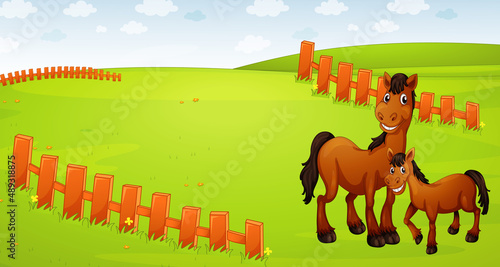 Horses farm animal standing in the meadow