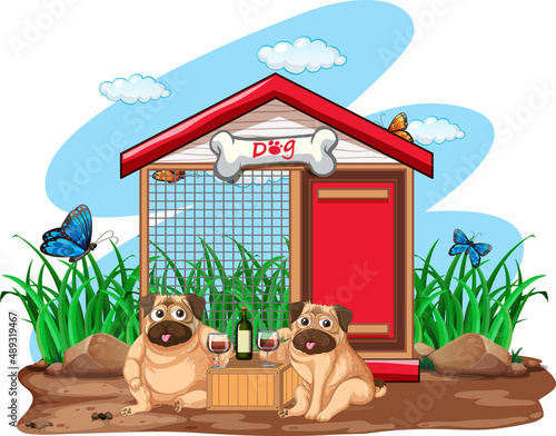 Two pugs drinking wine in the garden