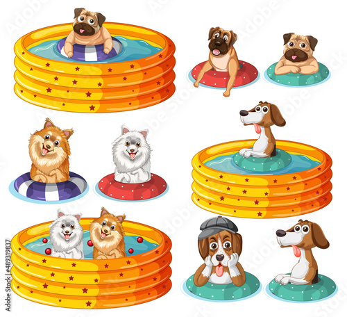 Set of dogs in yellow pool