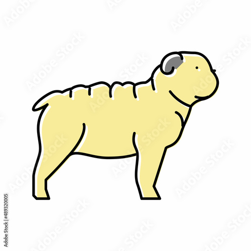 bulldog dog color icon vector illustration