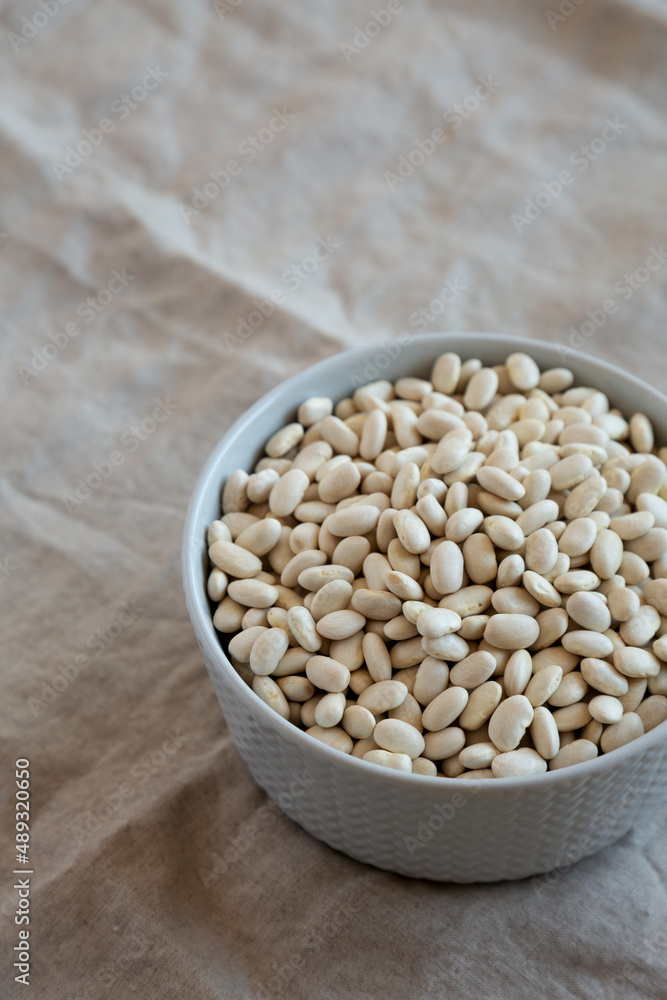 Raw Organic Dry White Beans in a Gray Bowl, side view. Space for text.