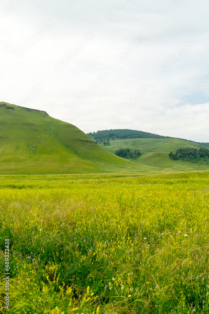 Green hills among the blooming steppe.