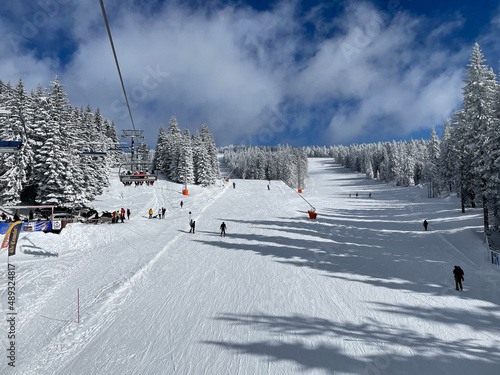 A frosty and sunny day is in mountains. Kopaonik National Park, winter landscape in the mountains, coniferous forest covered with snow. Spruce after snowfall