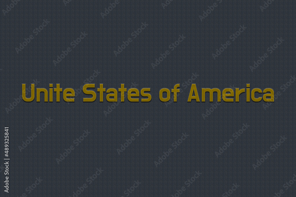 Obraz premium embroidery character Unite States of America
