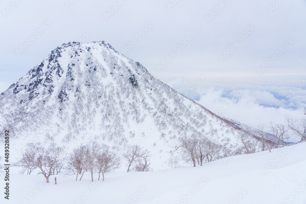 Obraz premium 三田原山より望む厳冬の妙高山