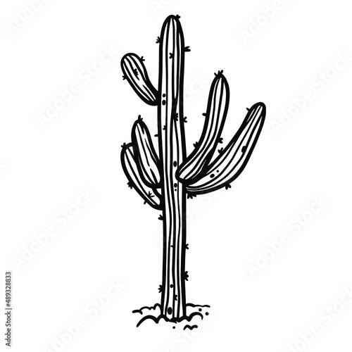 Succulent cactus desert plant hand drawn in monochrome black and white vector illustration. Botanical giant trees with thorns, needles.