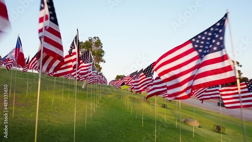 American and foreign flags waving on the wind with the clear sky behind, Malibu photo