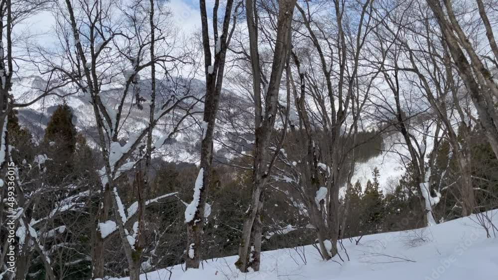 雪山の森の斜面から木の枝越しに向かいの日本アルプスの山々を眺める映像 雪山の森の斜面から木の枝越しに向かいの日本アルプスの山々を眺める映像