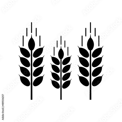 set of wheat
