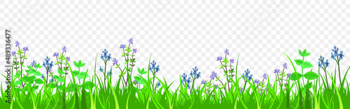 Spring flowers and clouds, vector background
