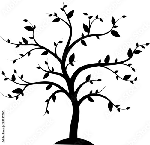 Family Tree Illustrations Family Tree SVG EPS PNG photo