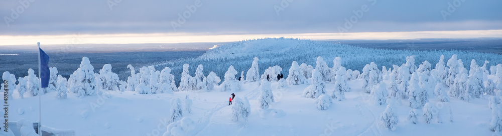 A group of people walking tourists in the background of the winter landscape of Lapland. Mountain and snow-covered forest in the rays of sunrise.