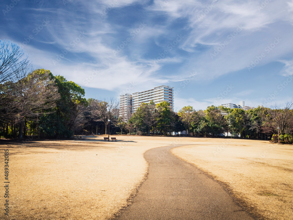 冬晴れの公園