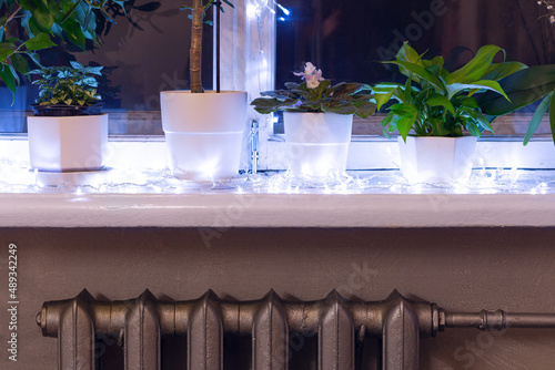 Different potted plants and light garland on a windowsill. 