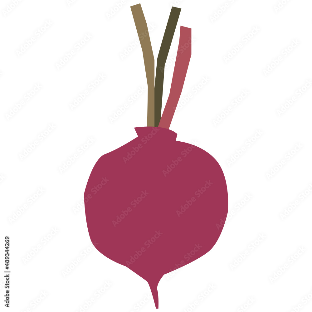 Obraz premium Beetroot vector illustration in flat color design