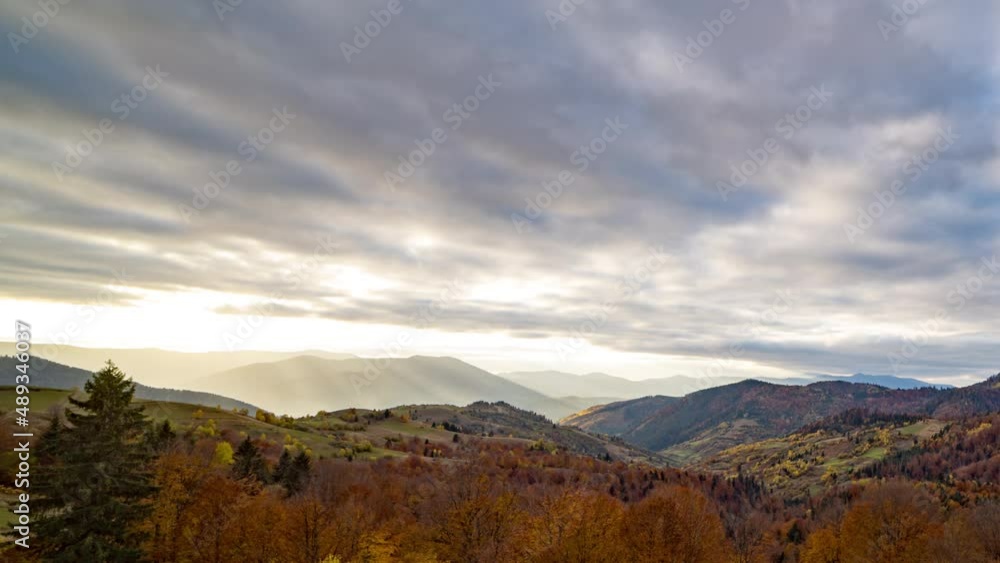 Colorful autumn trees grow in highland against big mountains Colorful autumn trees grow in highland against big mountains