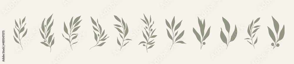 Set of leaves. Hand drawn decorative green leaf element