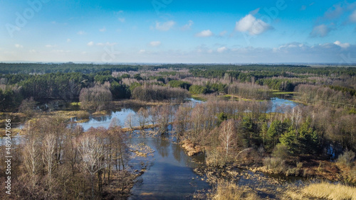 Fototapeta Naklejka Na Ścianę i Meble -  The Grabia river with high water level in central Poland. 
