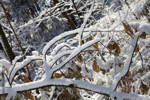 snowy mountain