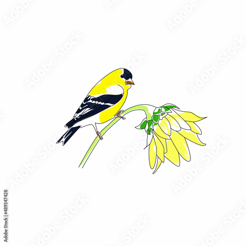 Wallpaper Mural goldfinch on a sunflower | yellow bird on a branch