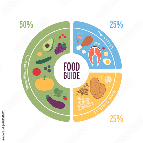 Healthy food plate guide concept. Vector flat modern illustration. Infographic of recomendation nutrition plan with percent labels. Colorful meat, fruit, vegetables and grains icon set.