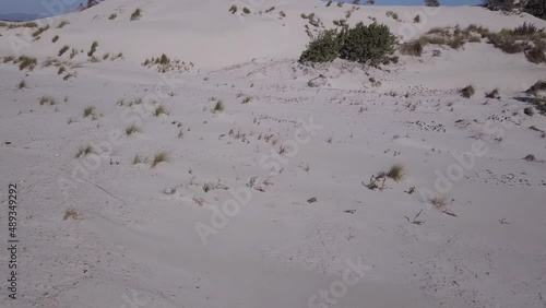 Flight over the dunes