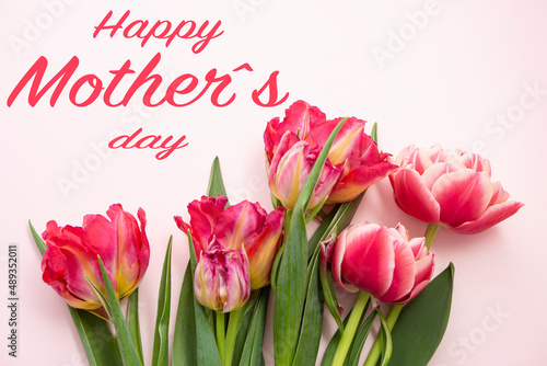 Happy Mother's Day  card  Women's Day. Tulip flowers  on a pastel pink background with text .  mother's day, womens day concept.