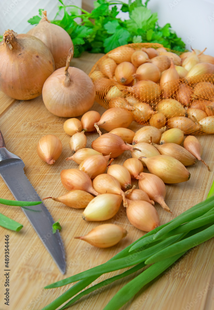 Allium cepa centurion stuttgarter cebula dymka w kuchni Allium cepa centurion stuttgarter cebula dymka w kuchni