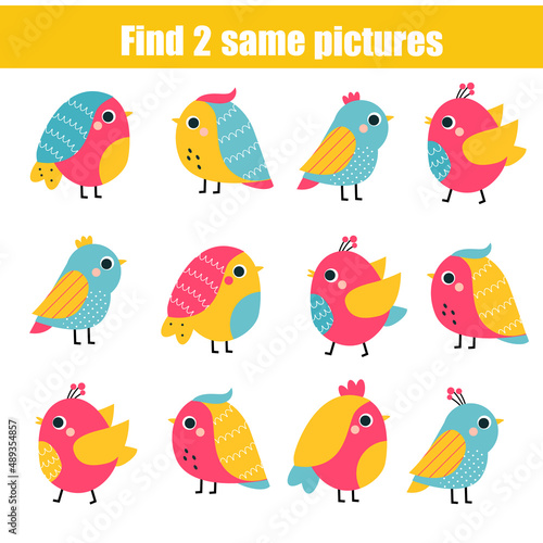 Children educational game. Find two same pictures of cute birds