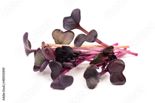 Fresh purple radish sprouts isolated on white. Microgreens.