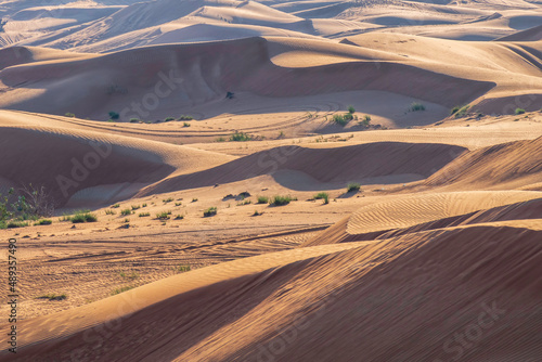 Sand dunes of the Arabian desert. Abu Dhabi  United Arab Emirates